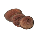 Antler Slice
