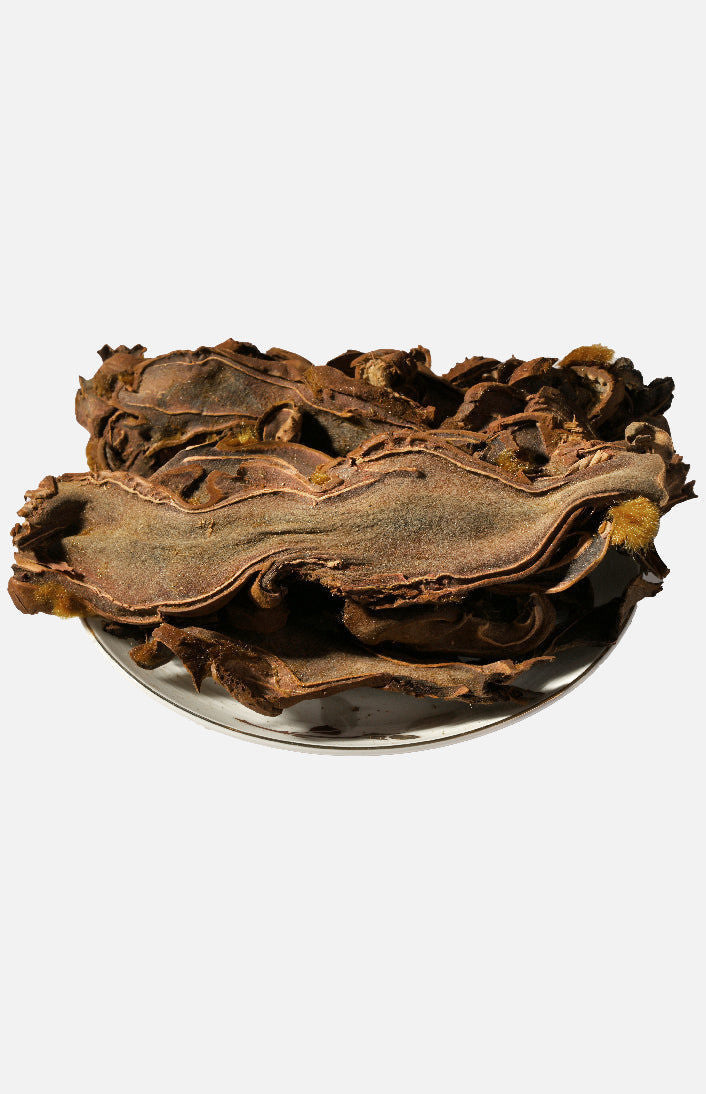 金狗脊 (每兩)